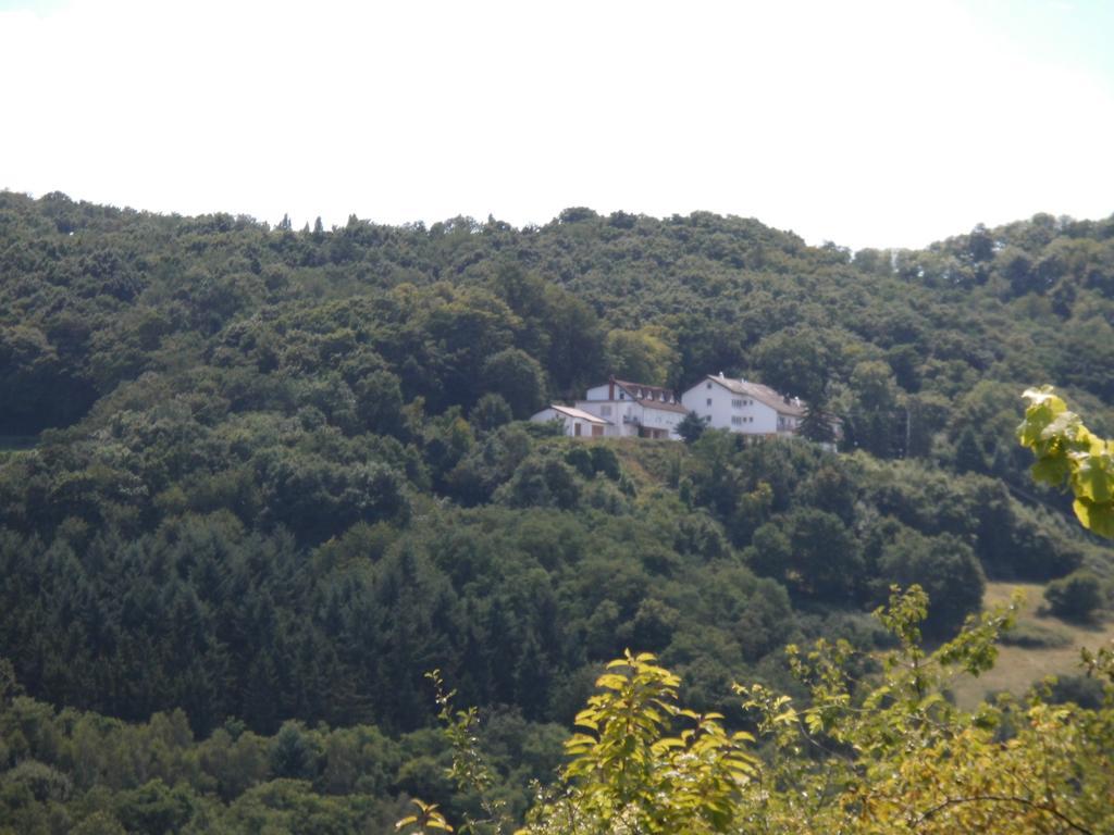 Burg-Hotel Obermoschel Dış mekan fotoğraf