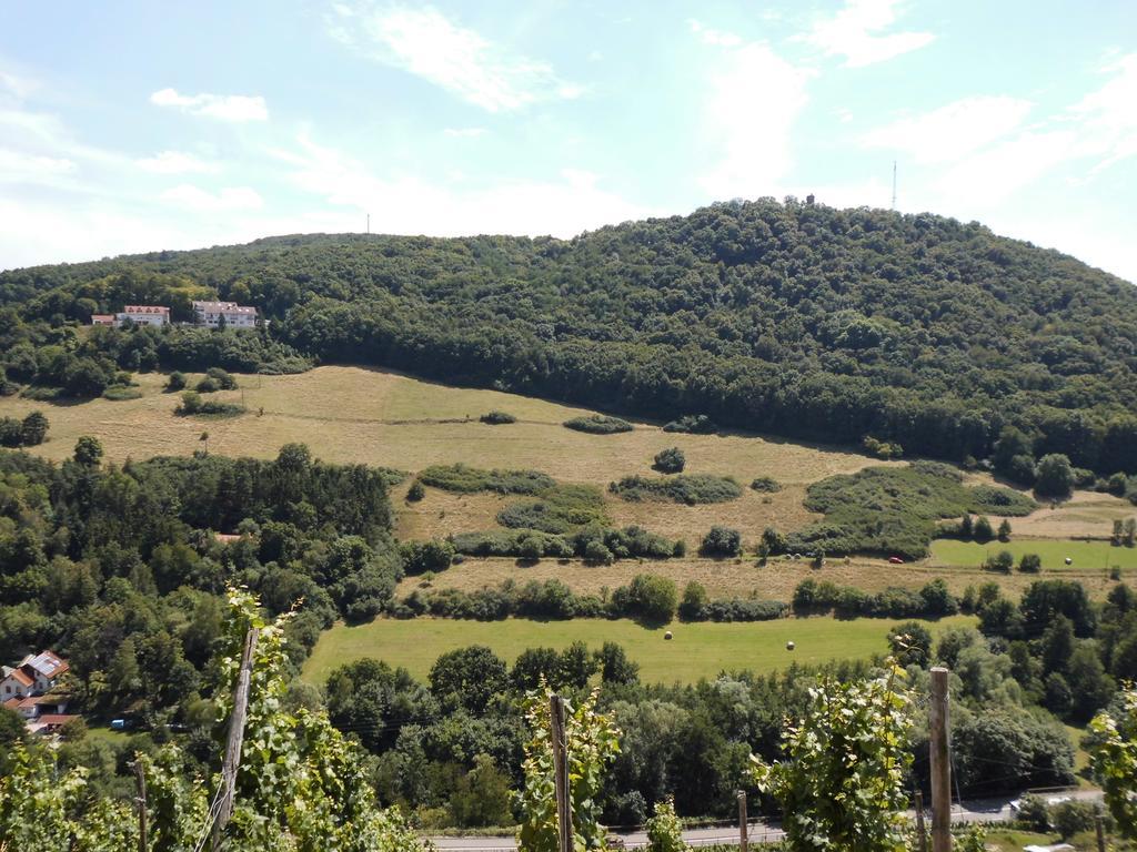 Burg-Hotel Obermoschel Dış mekan fotoğraf